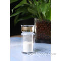 Beautiful Priced Probiotic A. Muciniphila 60B AFU/g